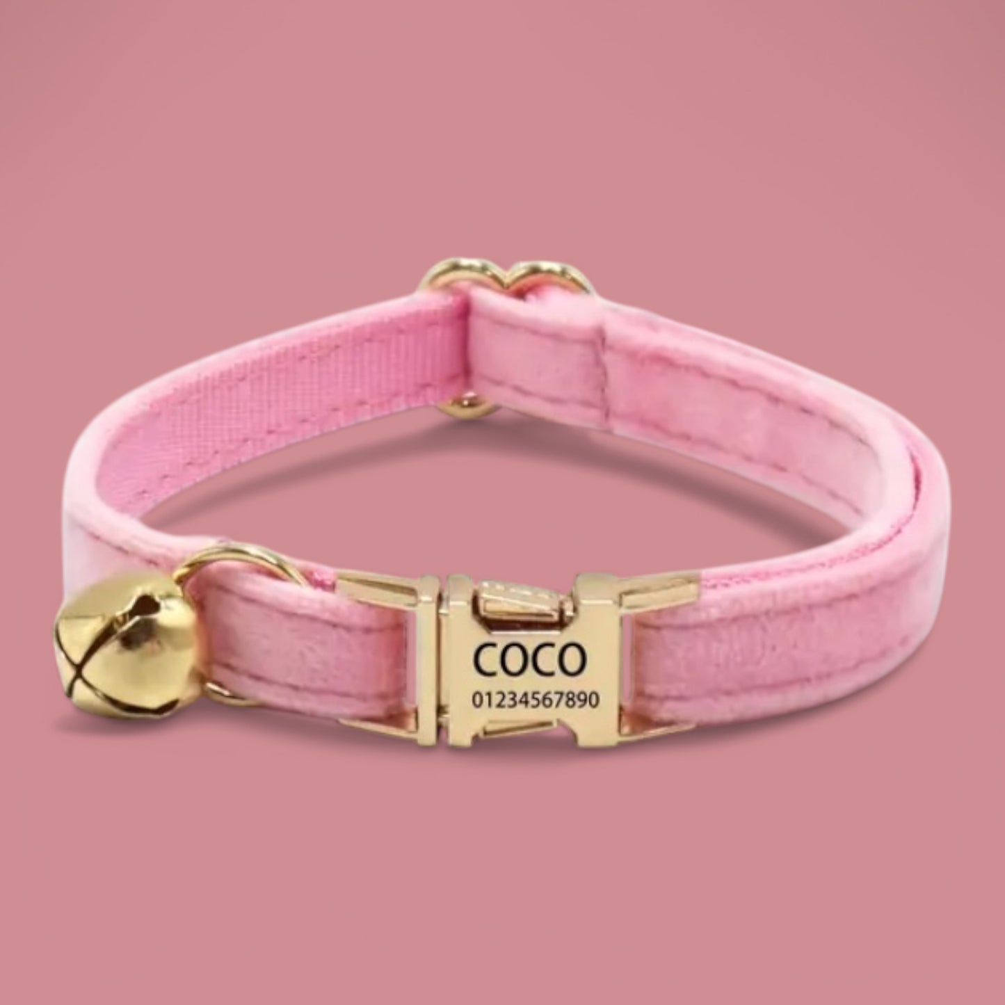 Collar Para Gato